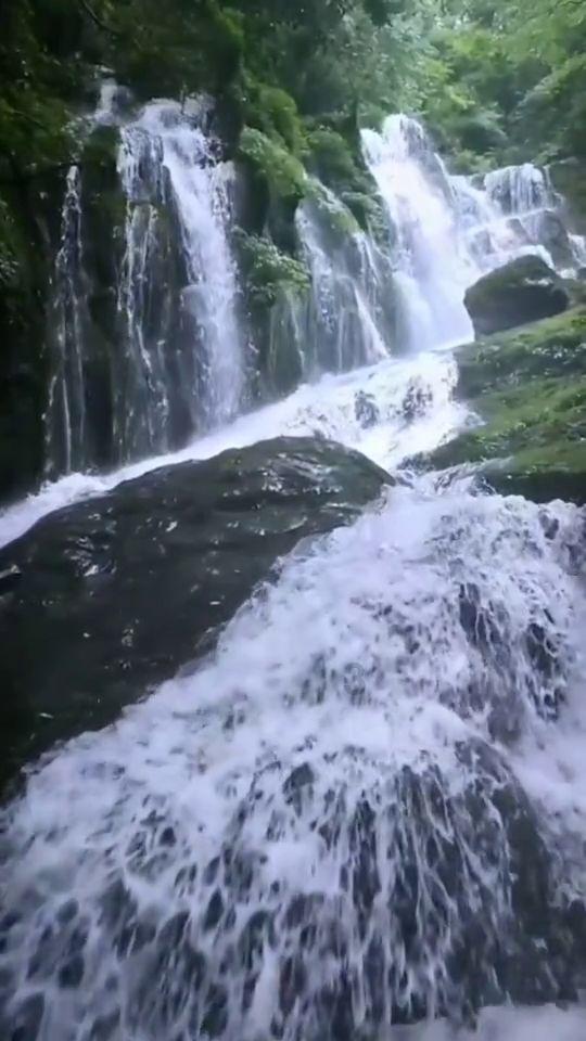 清凉夏日冰淇淋